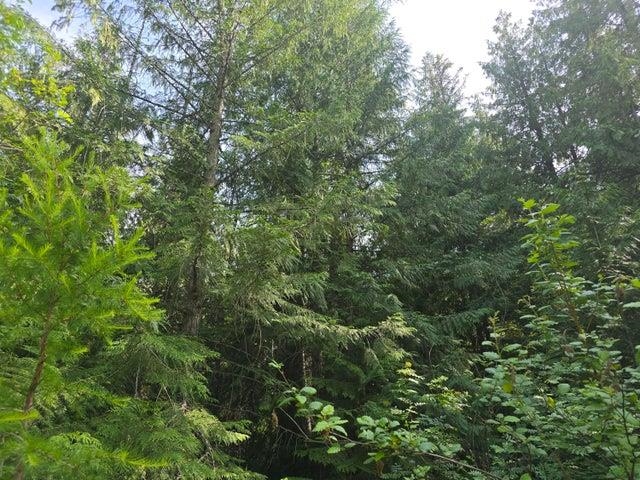 37-xx Red Marble Road Chewelah, WA 99109 - Photo 7 of 18