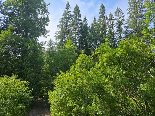 37-xx Red Marble Road Chewelah, WA 99109 - Photo 9 of 18