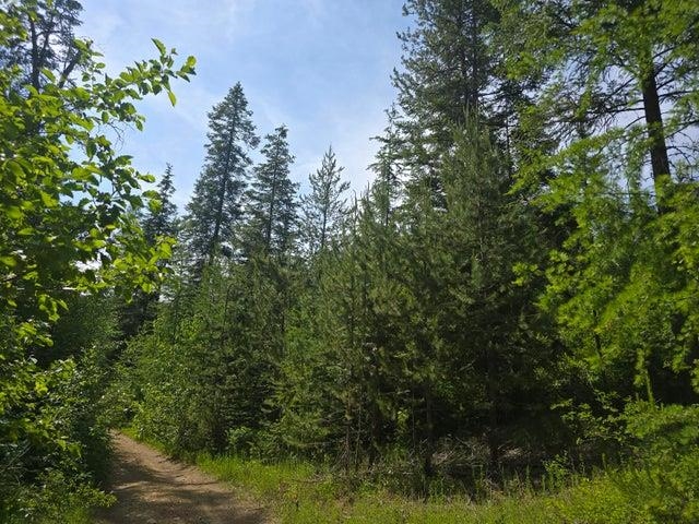 37-xx Red Marble Road Chewelah, WA 99109 - Photo 10 of 18