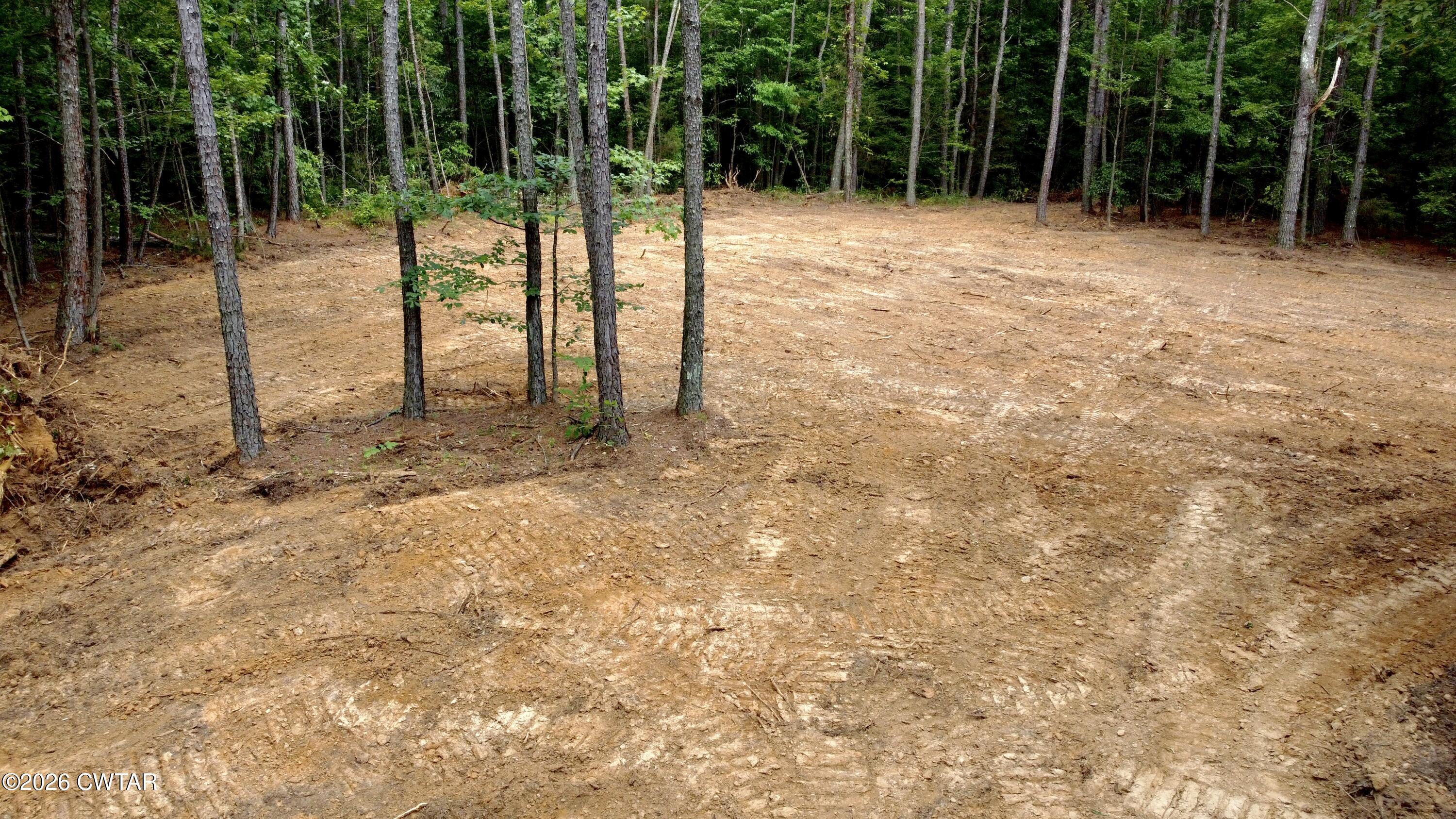 0 Old Lula Road Reagan, TN 38368 - Photo 11 of 18 dji_fly_20260621_150358_212_178207235403