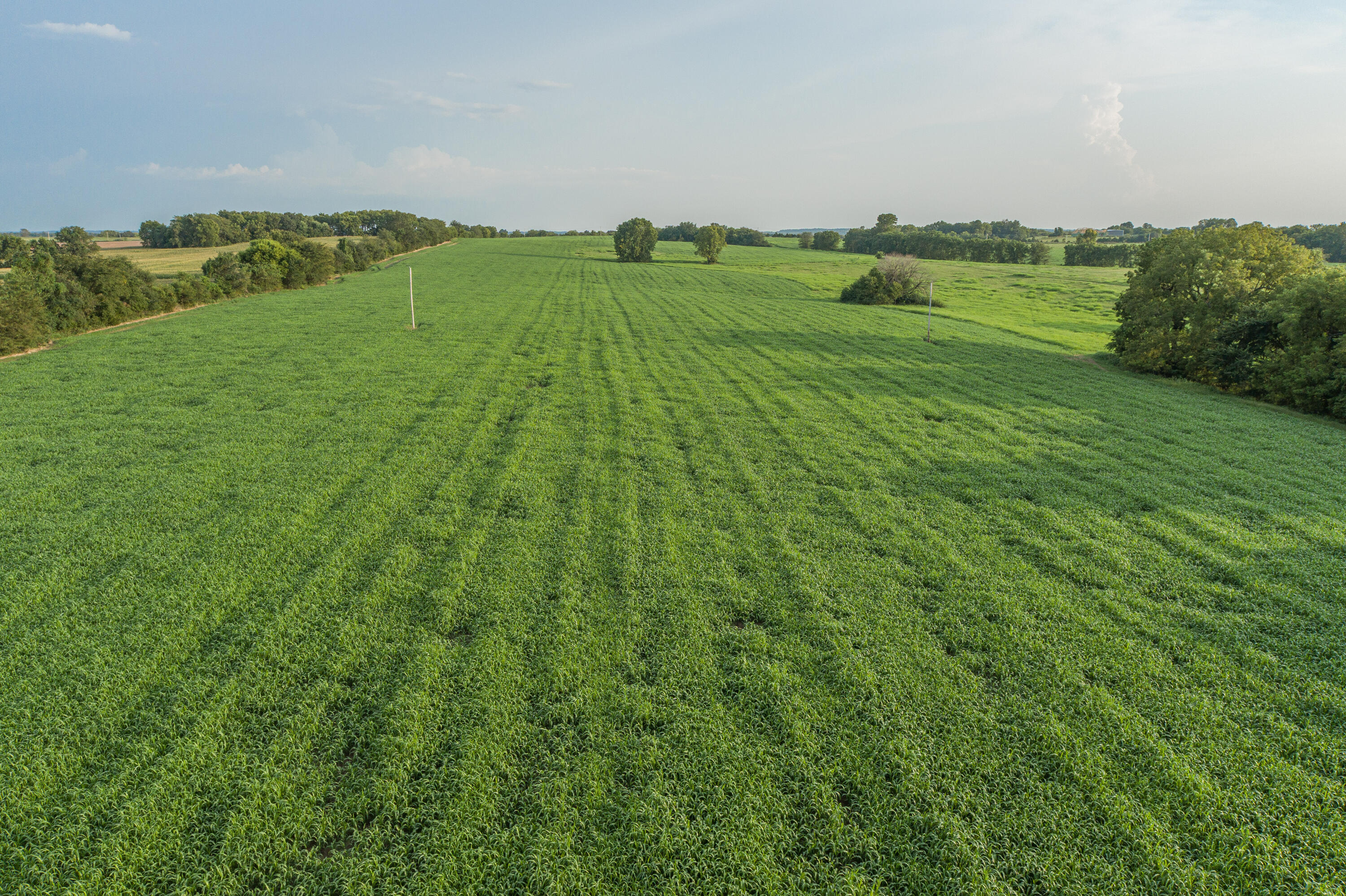 5291 South 127th Road Morrisville, MO 65710 - Photo 5 of 87 5291 S 127th Rd-100