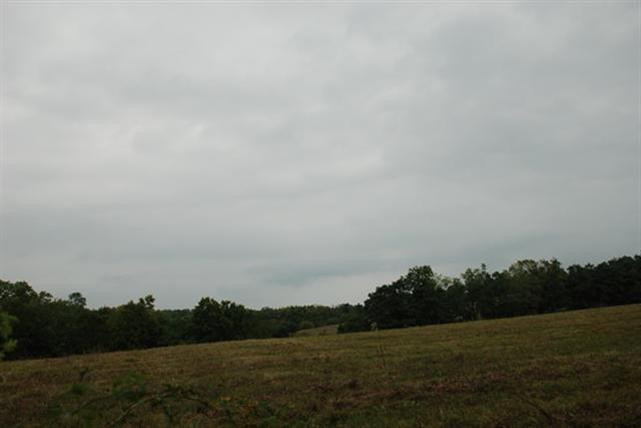 5844 Fords Mill Road Versailles, KY 40383 - Photo 49 of 58 Photo 49