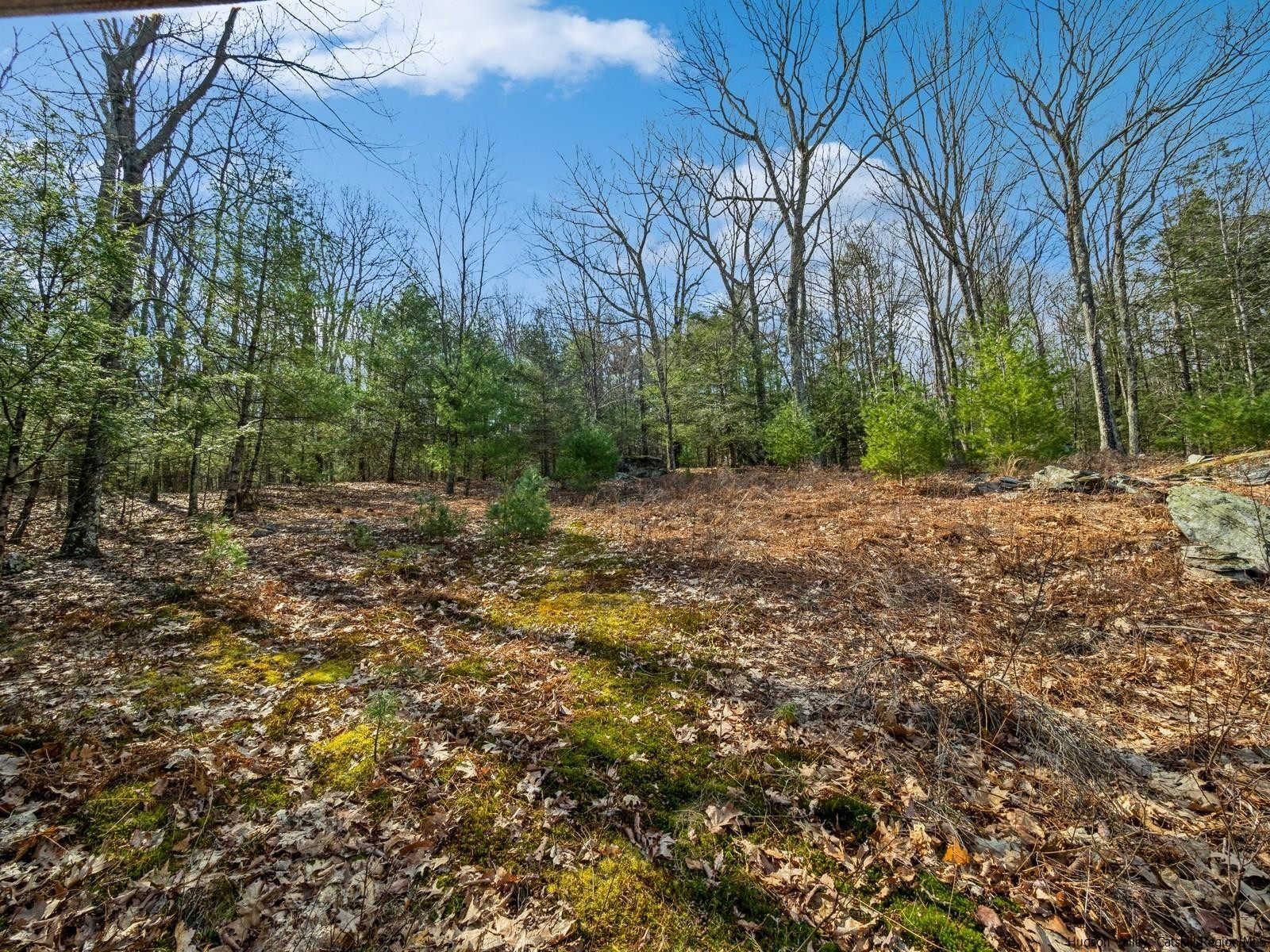 43 Private Road Olivebridge, NY 12461 - Photo 29 of 32 Photo 31