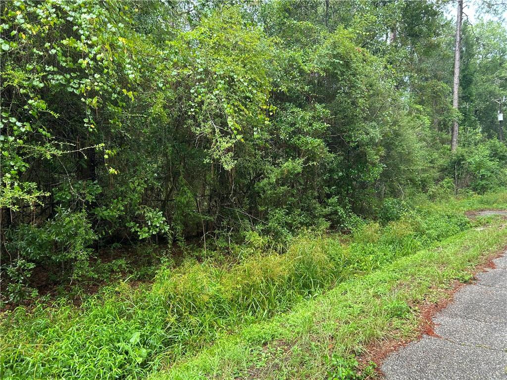 300 Sunset Street Slidell, LA 70460 - Photo 11 of 16