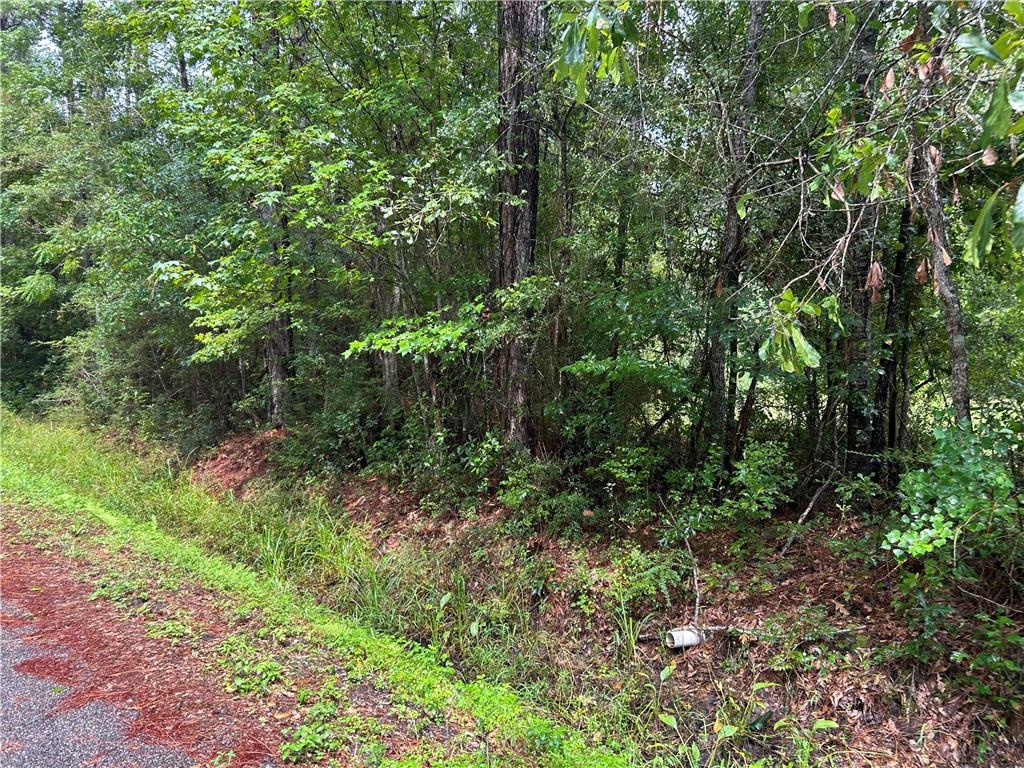 300 Sunset Street Slidell, LA 70460 - Photo 10 of 16