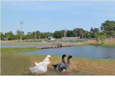 8.99-ac Old River Road Baker, FL 32531 - Photo 5 of 6 a ocean view with a lake view