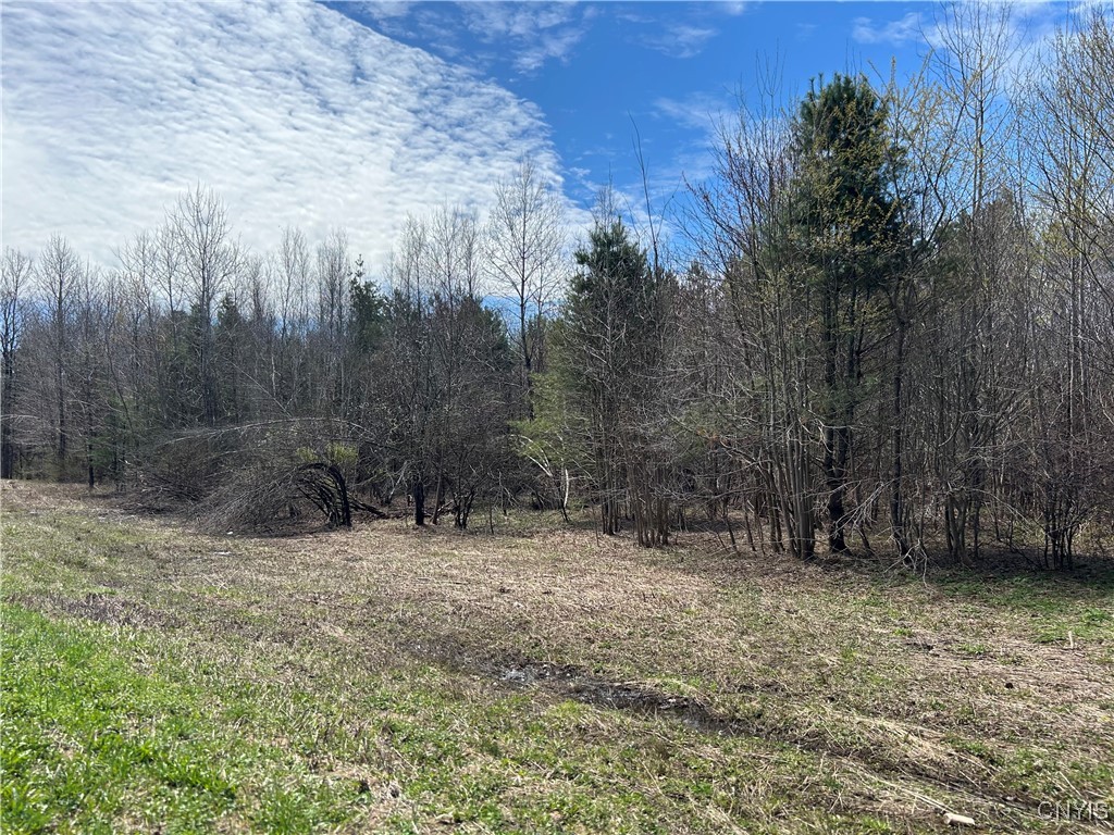 Rt-104 Altmar, NY 13302 - Photo 2 of 5