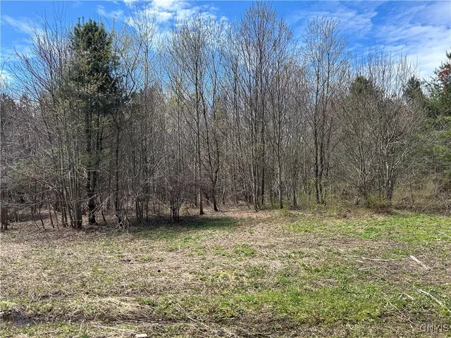 $46,900 | Rt-104, Altmar, NY 13302