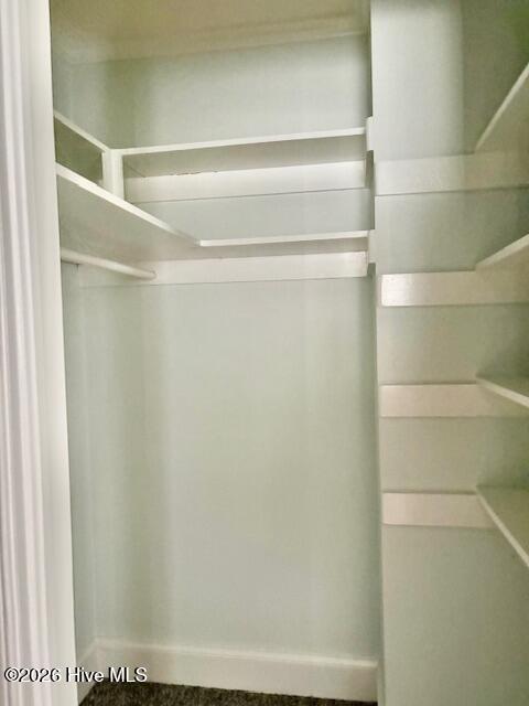 1181 Institute Road Kinston, NC 28504 - Photo 23 of 33 Primary closet