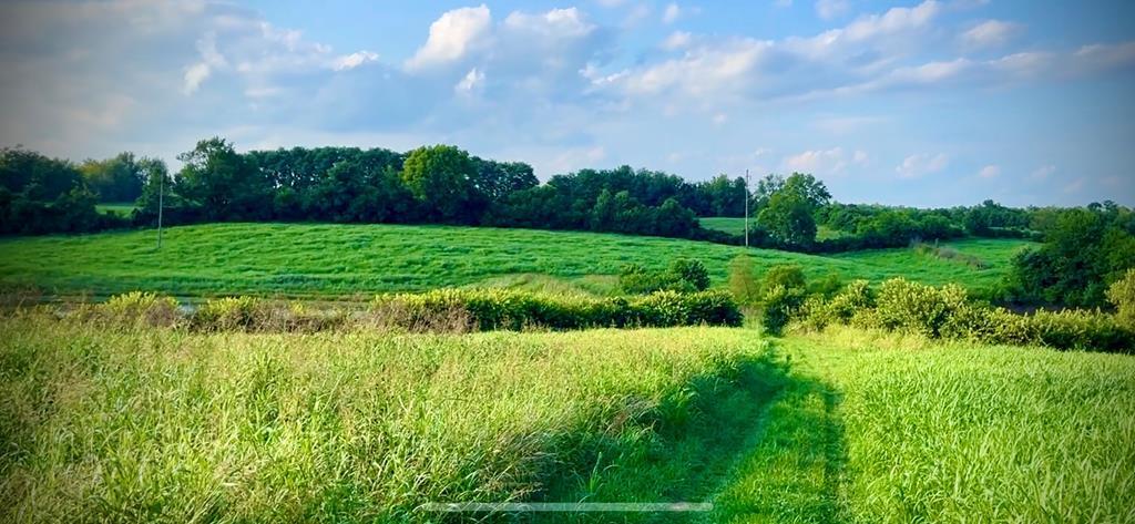7900 Ecton Road Winchester, KY 40391 - Photo 33 of 44 117379_41