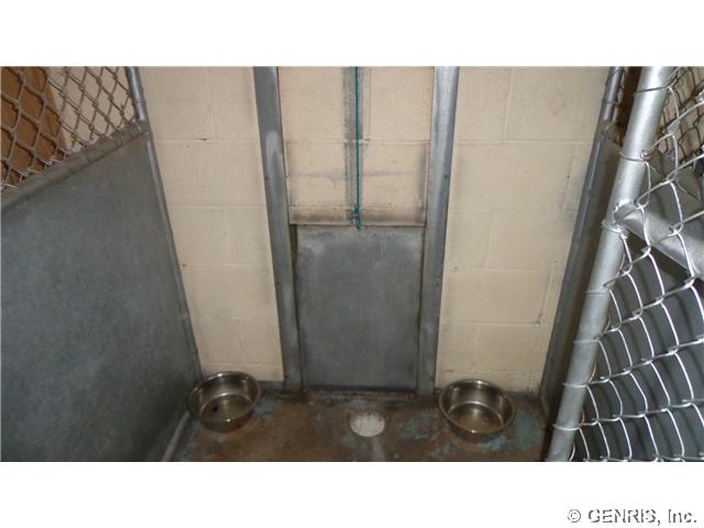 2728 Church Road Hamlin, NY 14464 - Photo 23 of 25 Exterior Front