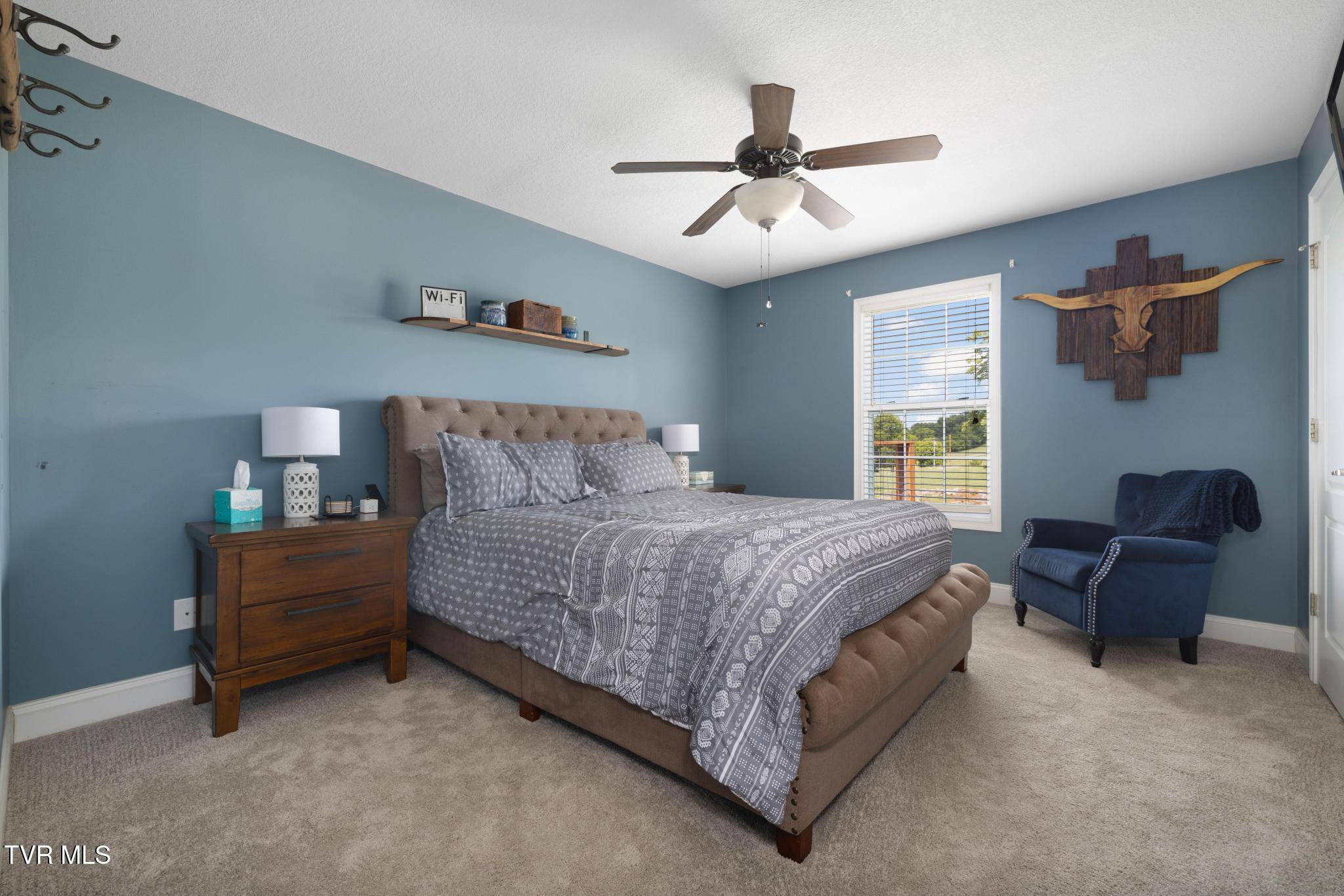 245 Willow Ridge Drive Chuckey, TN 37641 - Photo 39 of 65 IMG_8287