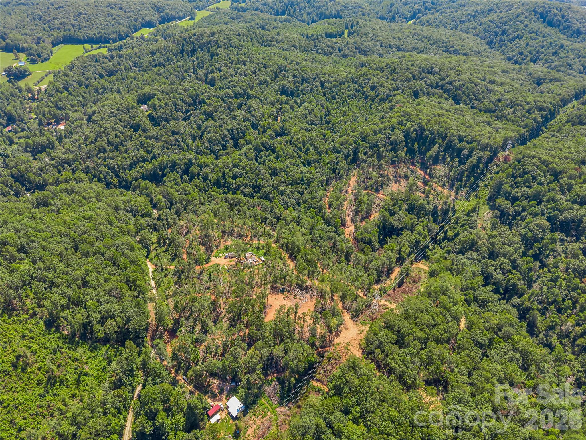 Tbd Early Road Saluda, NC 28773 - Photo 30 of 35 Gallery Image 30