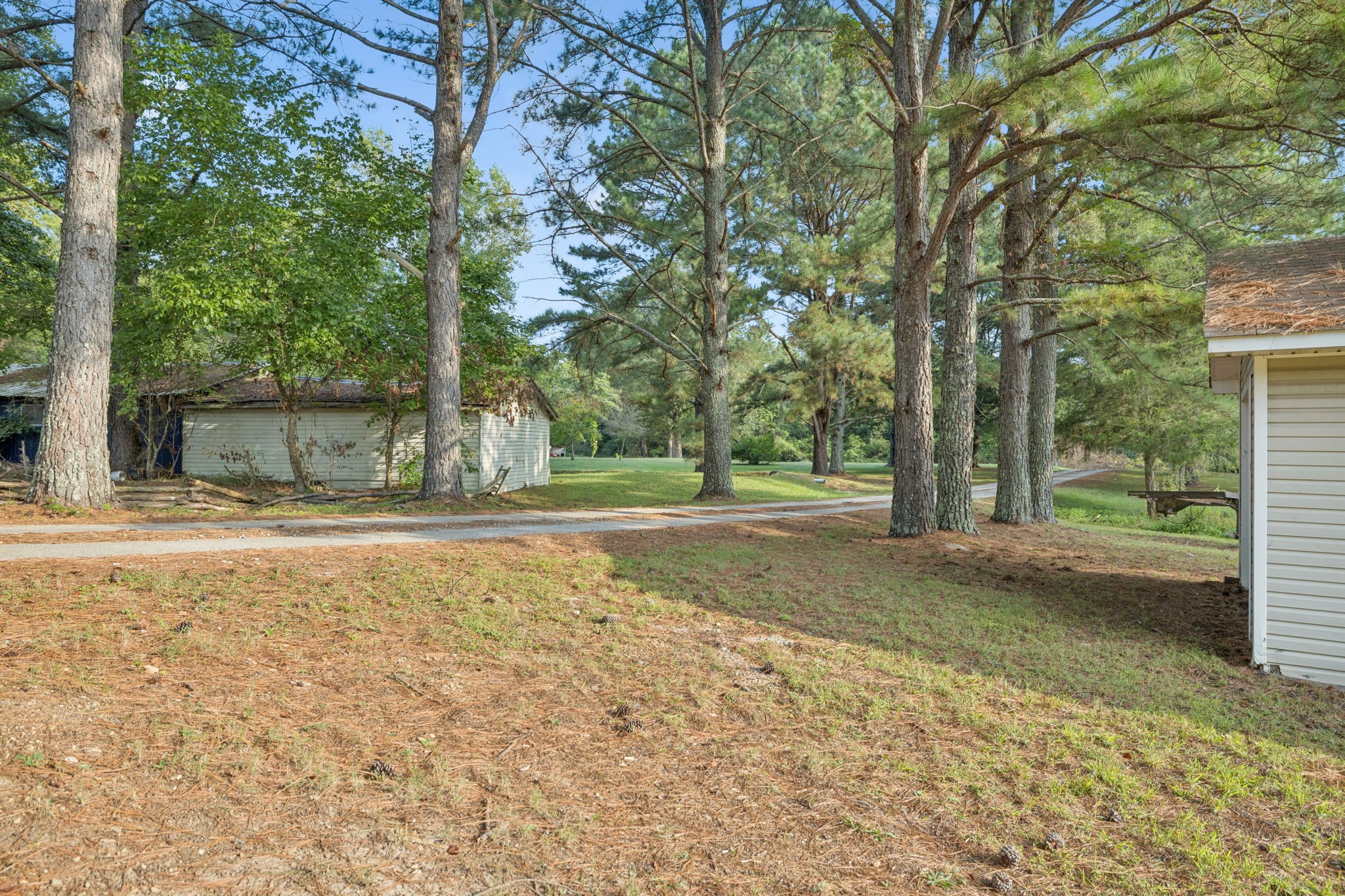 122 Hooper Road Hohenwald, TN 38462 - Photo 24 of 57