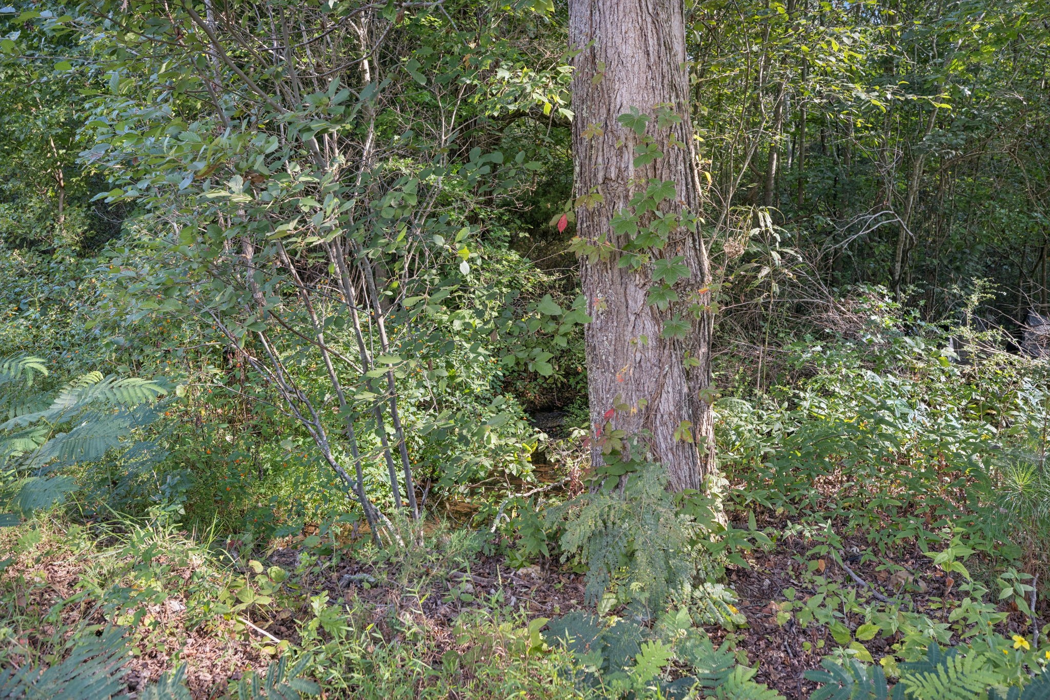 122 Hooper Road Hohenwald, TN 38462 - Photo 40 of 57