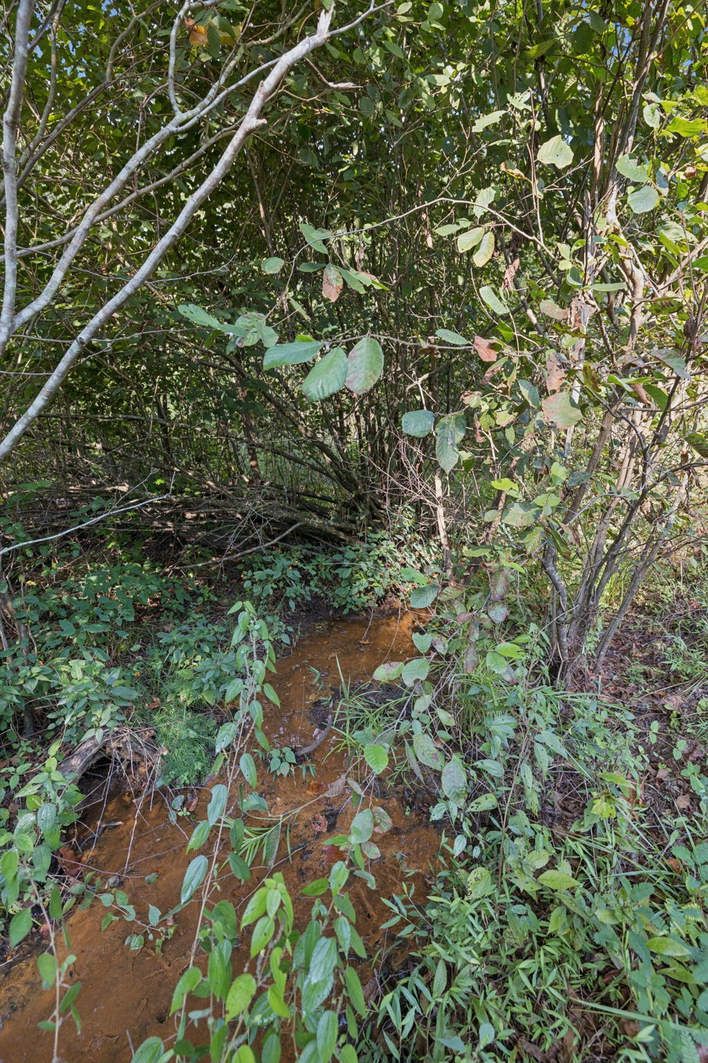 122 Hooper Road Hohenwald, TN 38462 - Photo 43 of 57