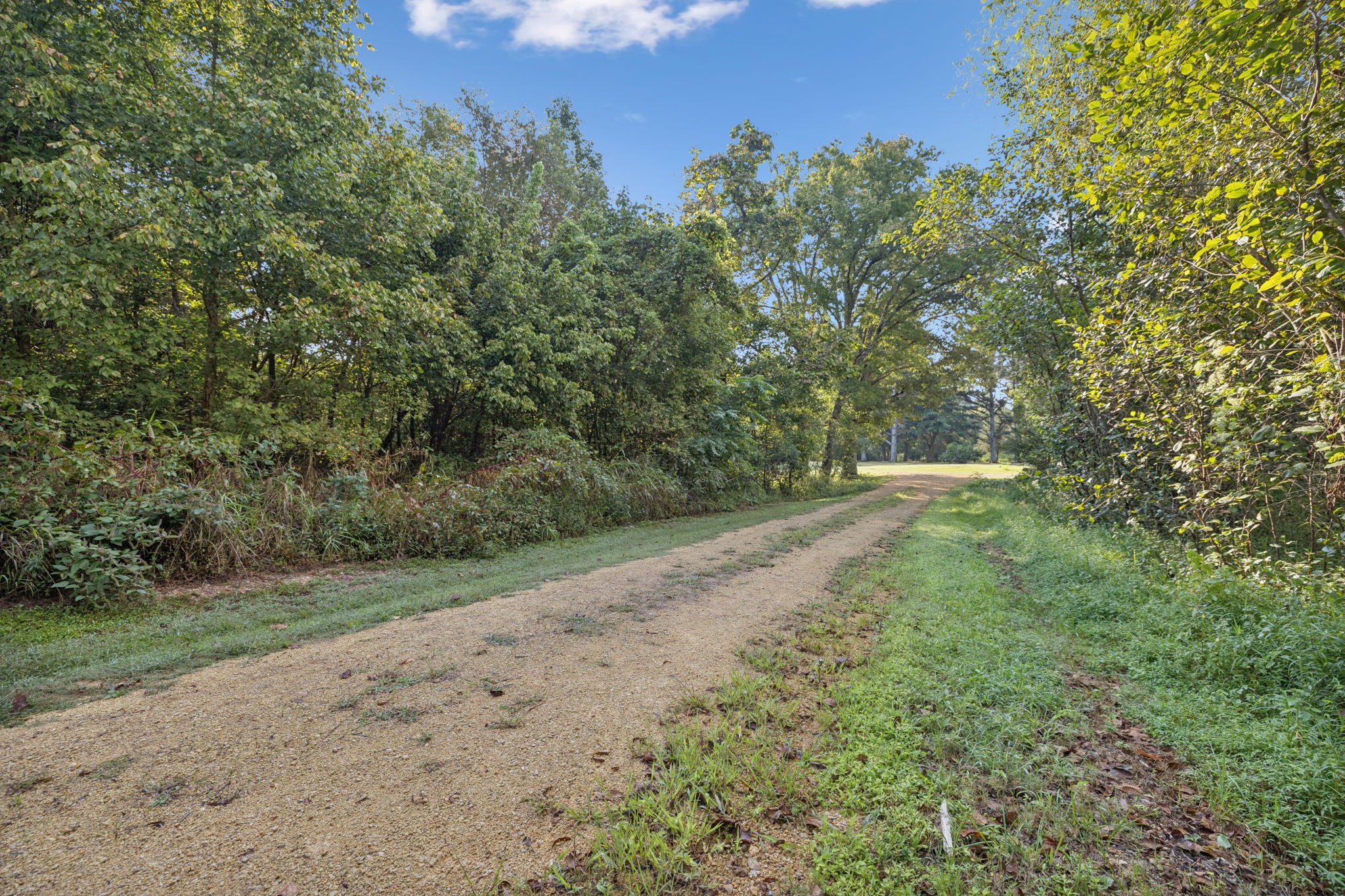 122 Hooper Road Hohenwald, TN 38462 - Photo 44 of 57