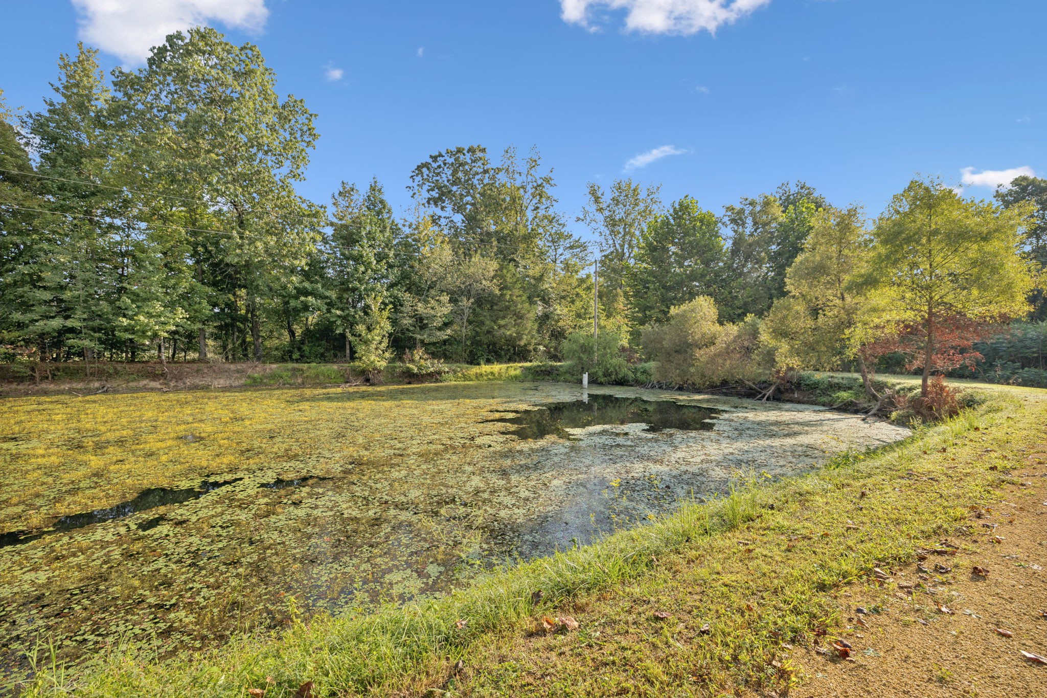 122 Hooper Road Hohenwald, TN 38462 - Photo 46 of 57