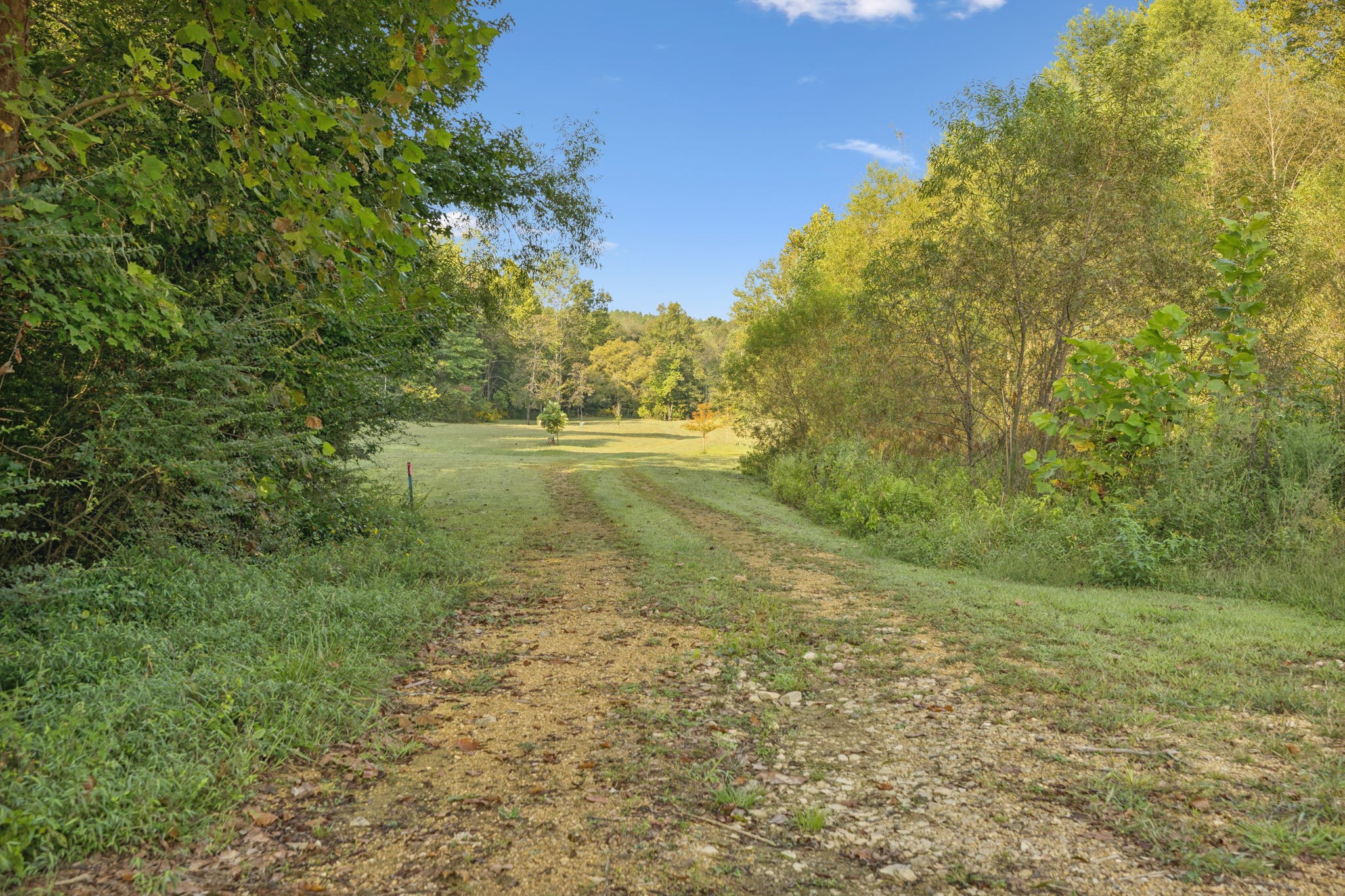 122 Hooper Road Hohenwald, TN 38462 - Photo 48 of 57