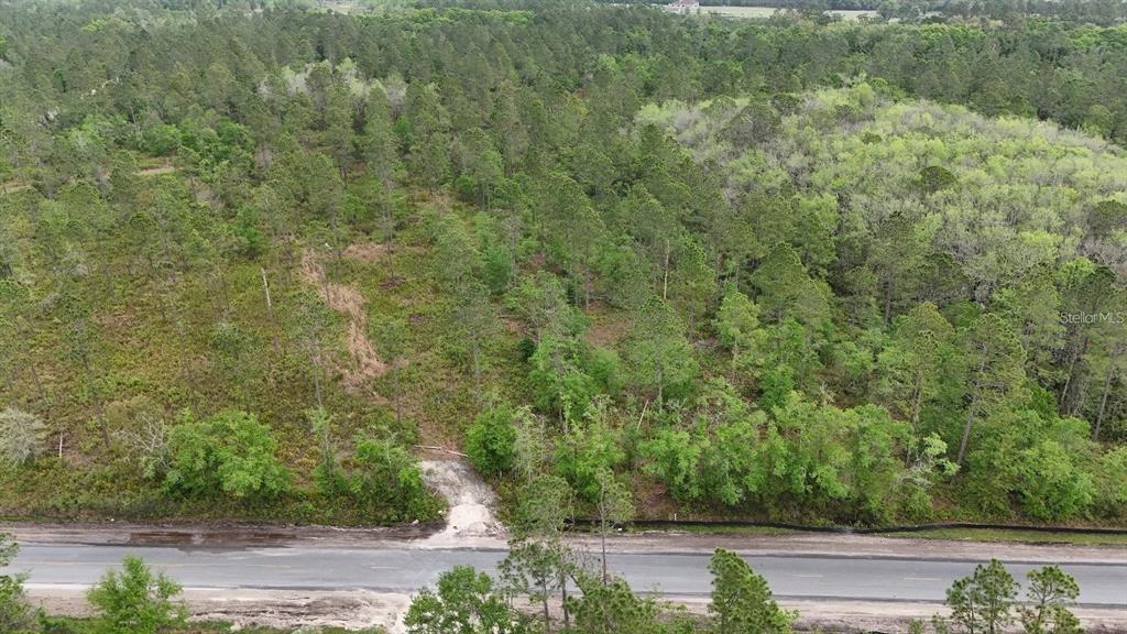 25 Southeast A Se County Road White Springs, FL 32096 - Photo 16 of 18 a view of a forest with trees in the background