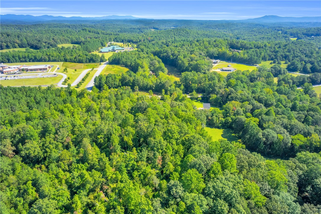 167 Cherokee Trail Easley, SC 29640 - Photo 13 of 18 Vast green expanse offers serene privacy with distant mountain views.