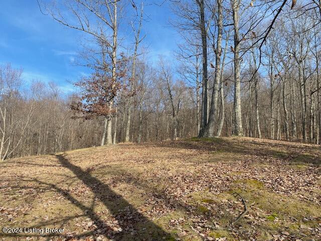 9143 Loretto Road Loretto, KY 40037 - Photo 42 of 46 19