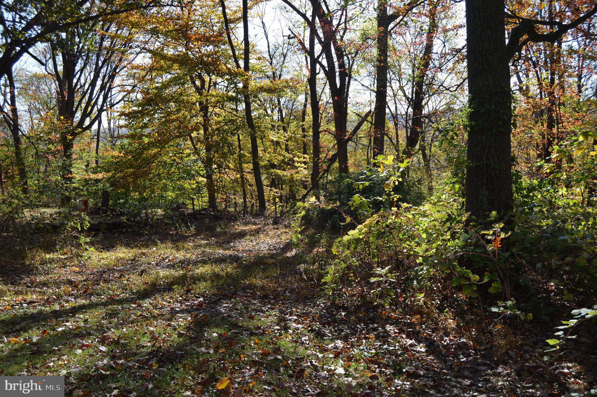 40 Frogtown Road Pequea, PA 17565 - Photo 31 of 32