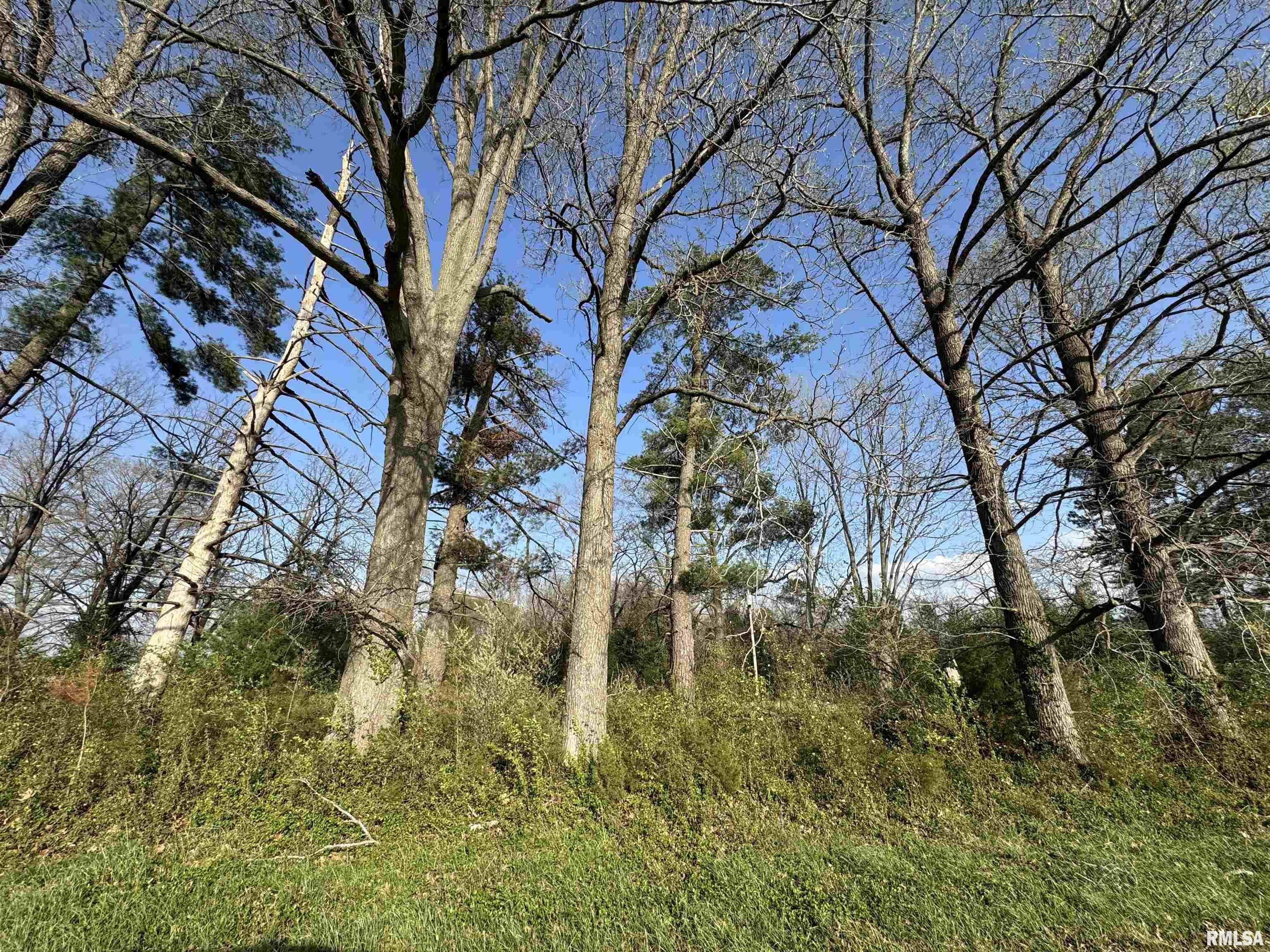 5528 Gannett Road Mulkeytown, IL 62865 - Photo 1 of 4