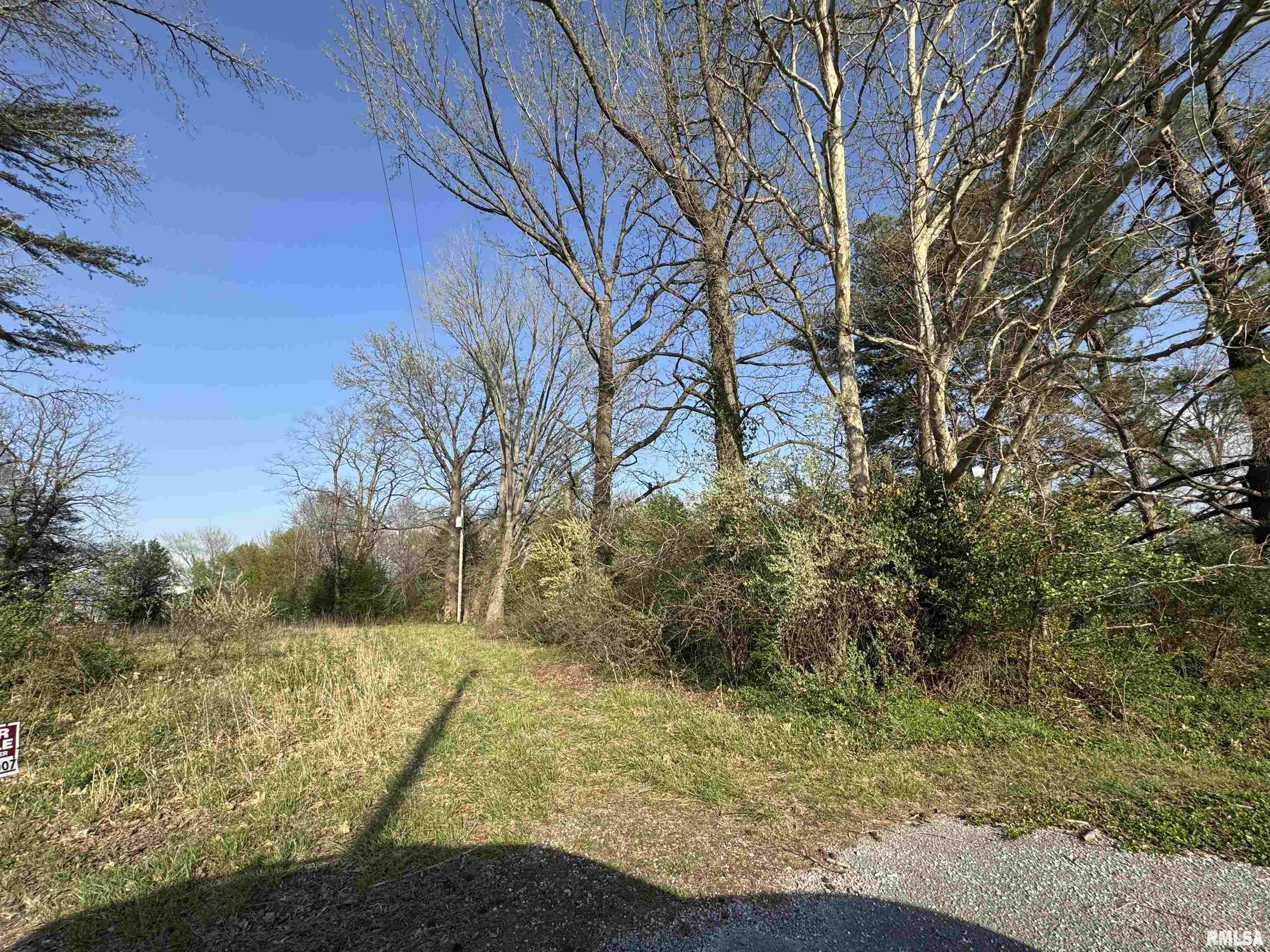 5528 Gannett Road Mulkeytown, IL 62865 - Photo 2 of 4