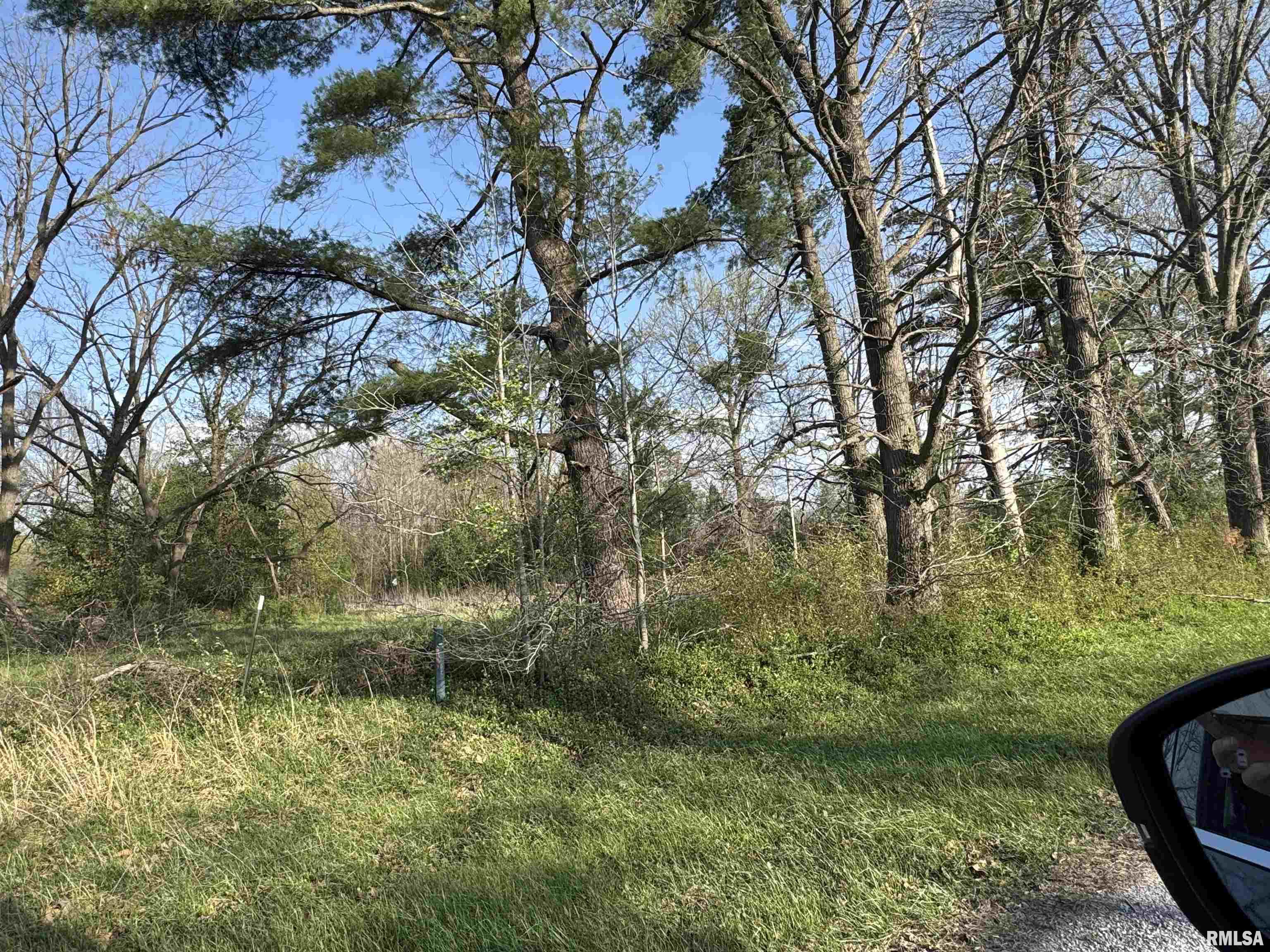 5528 Gannett Road Mulkeytown, IL 62865 - Photo 3 of 4