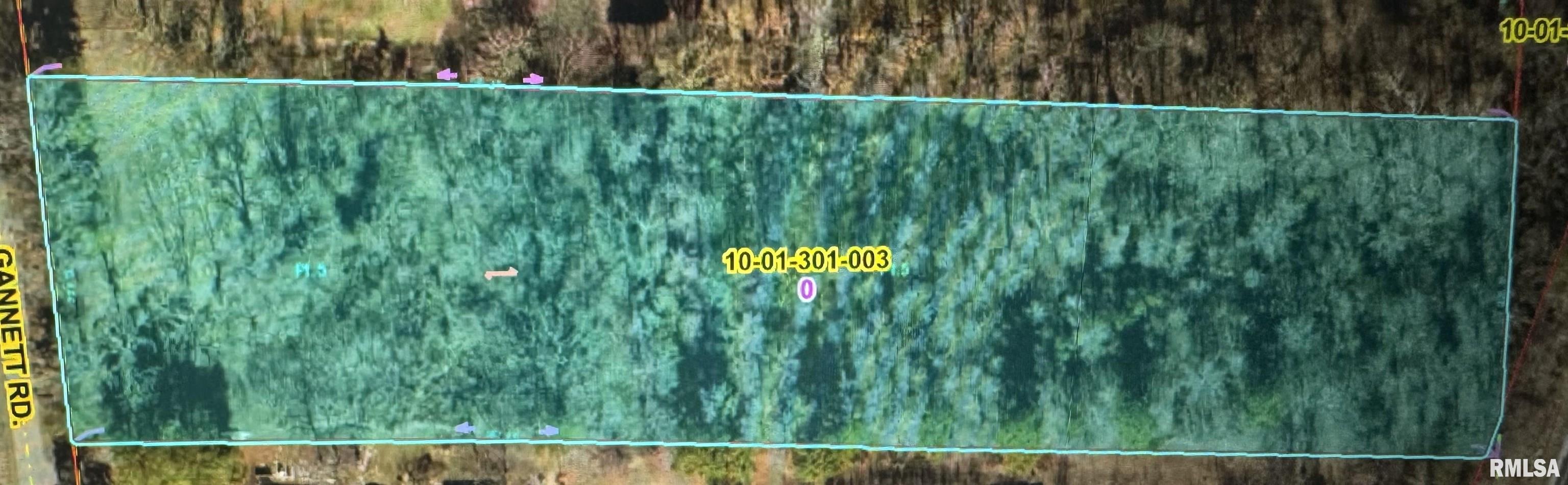 5528 Gannett Road Mulkeytown, IL 62865 - Photo 4 of 4