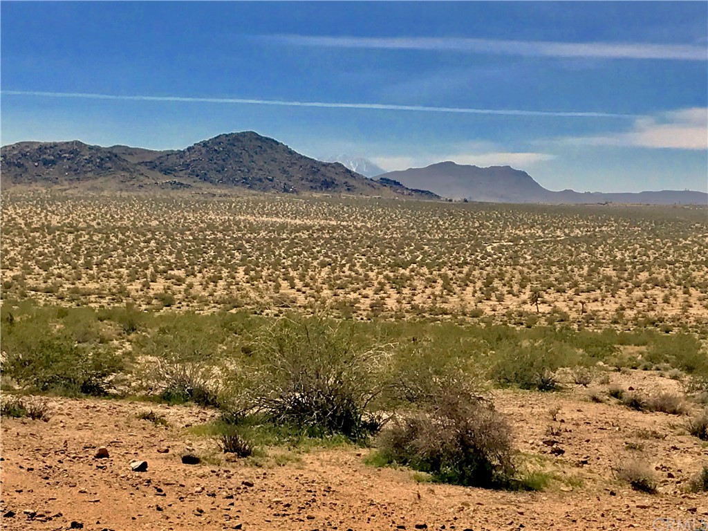 1000 Sunever Road Joshua Tree, CA 92252 - Photo 1 of 1 a view of a sky from a yard