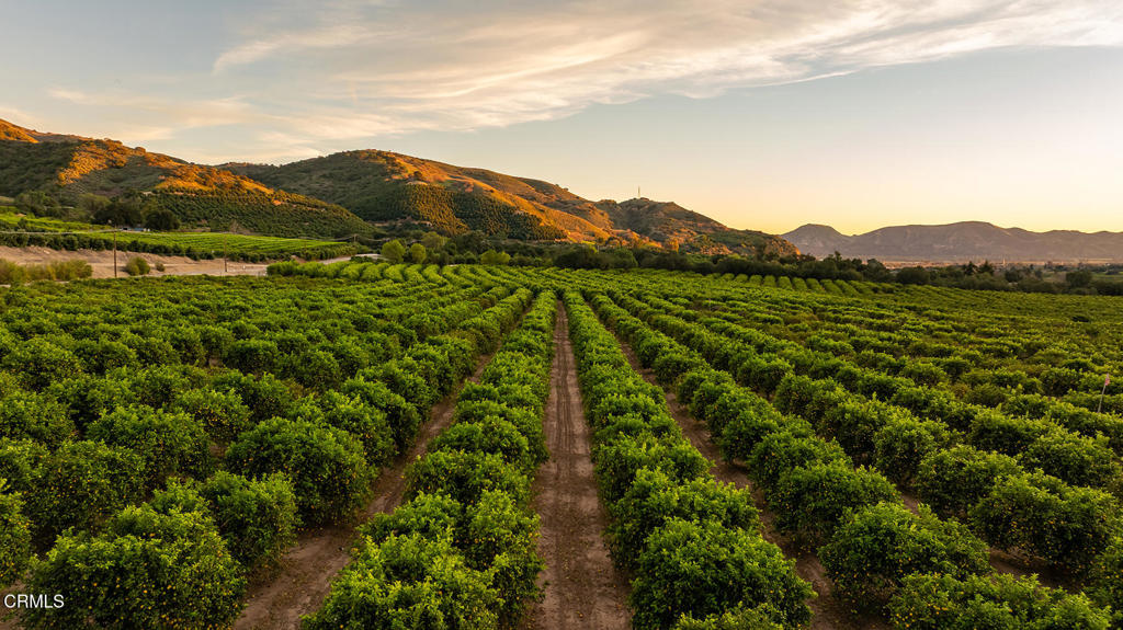 0 Goodenough Road Fillmore, CA 93015 - Photo 1 of 17 a view of mountain with lake view