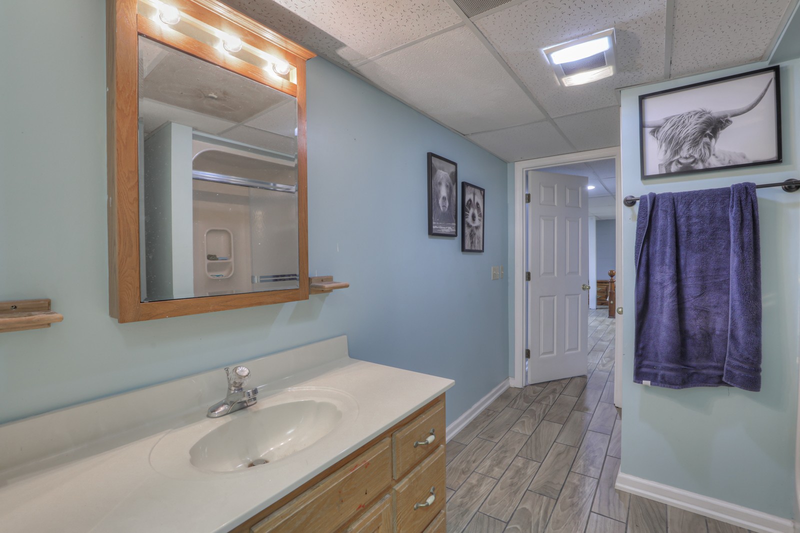 118 Robert Simmons Road Westmoreland, TN 37186 - Photo 36 of 82 a bathroom with a sink and a mirror
