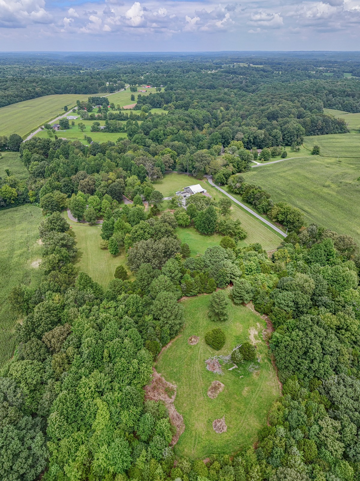118 Robert Simmons Road Westmoreland, TN 37186 - Photo 61 of 82 a view of a lush green forest with a houses