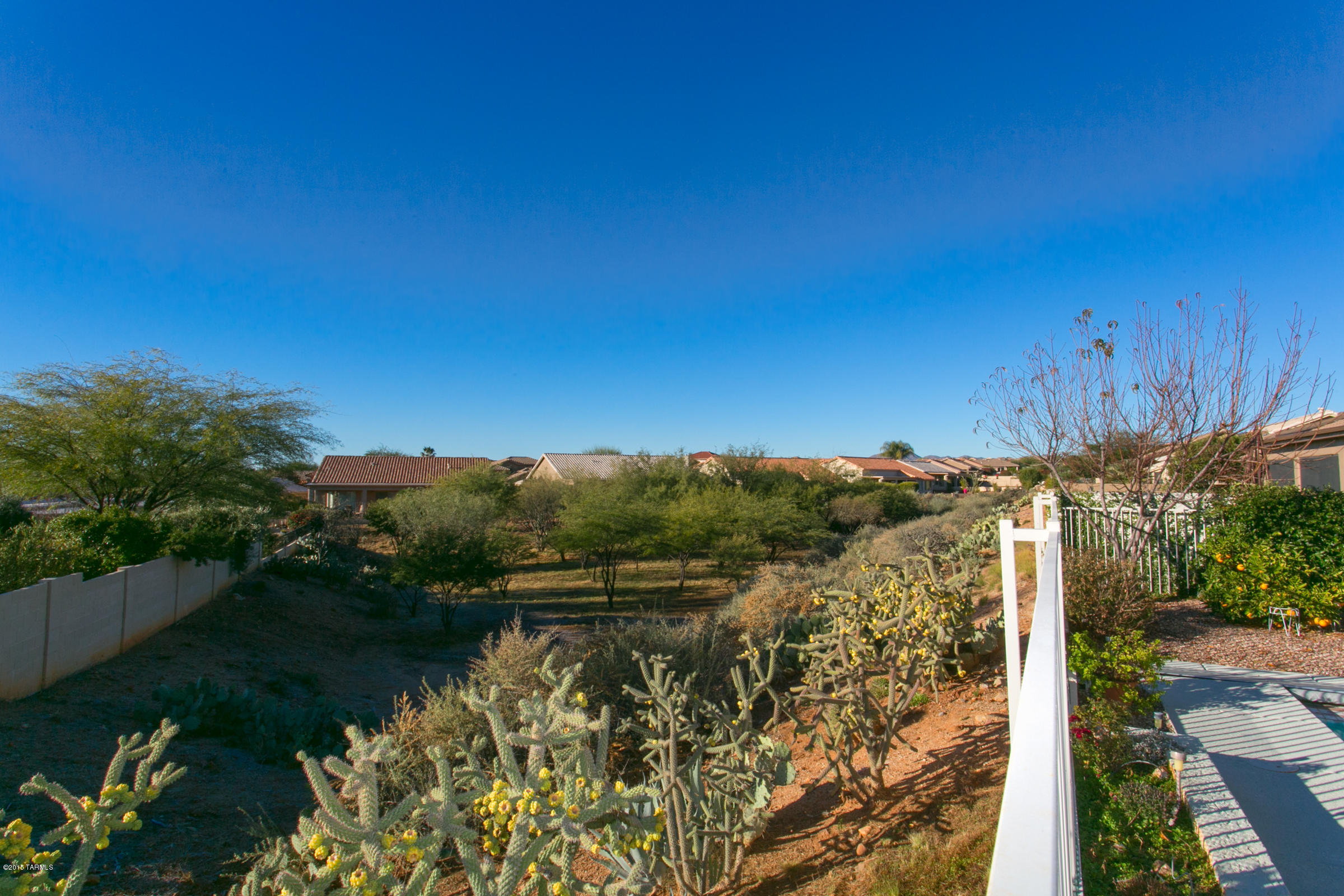 62419 East Northwood Road Tucson, AZ 85739 - Photo 10 of 30 a view of a lake with a yard
