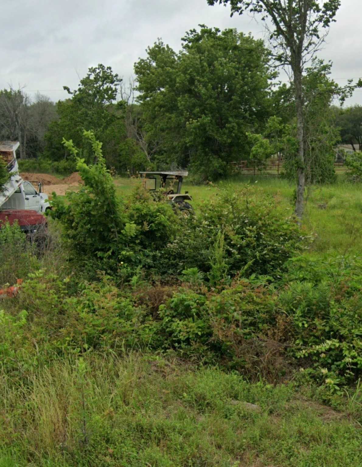 608 Sharon Street Prairie View, TX 77484 - Photo 2 of 4 a view of outdoor space and trees