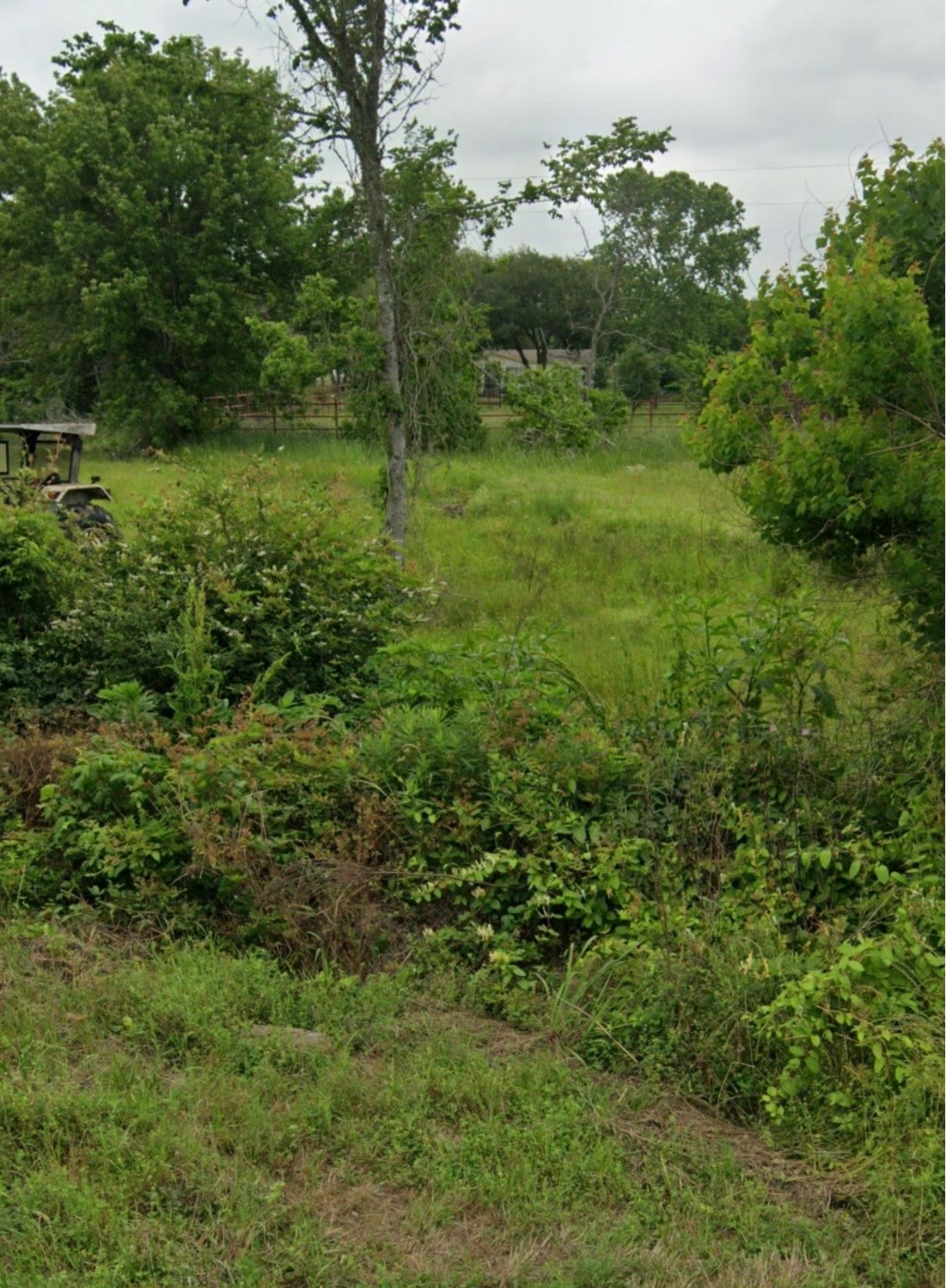 608 Sharon Street Prairie View, TX 77484 - Photo 3 of 4 a view of a lush green forest