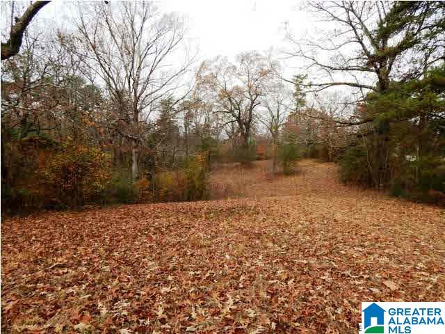401 Beasley Road Gardendale, AL 35071 - Photo 7 of 15