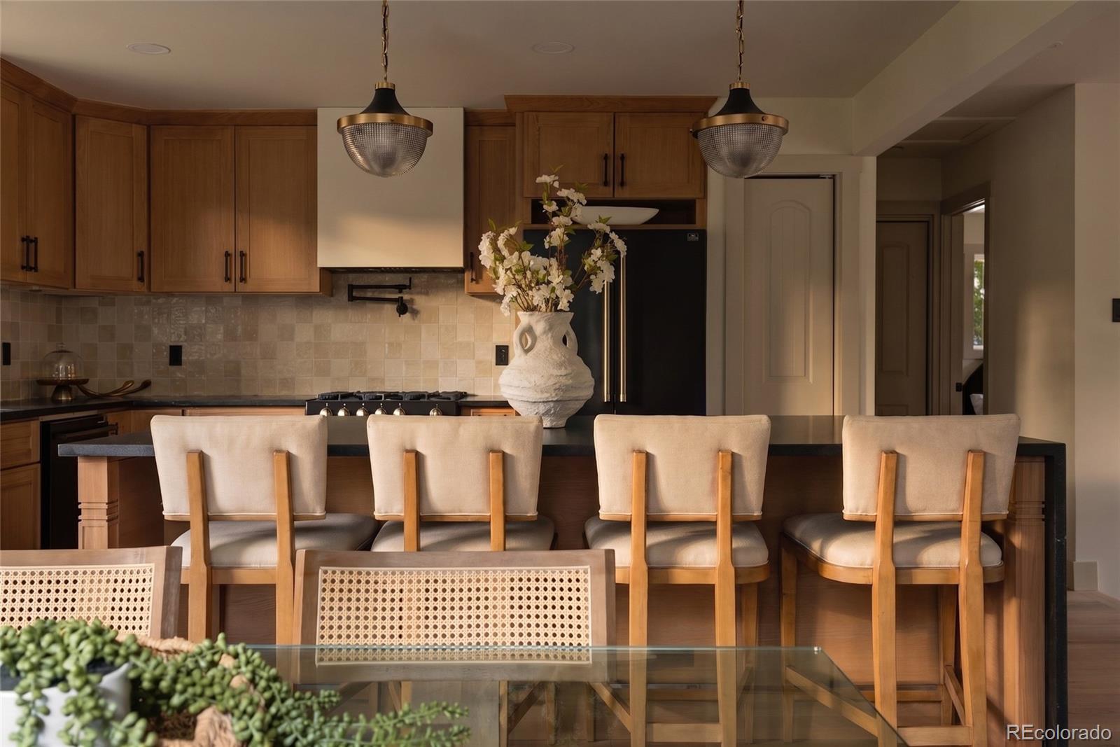 33691 Nova Road Pine, CO 80470 - Photo 10 of 38 Gallery Image 10