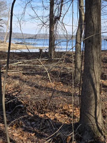 a view of a backyard of the house