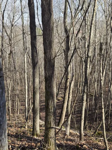 a backyard of a building