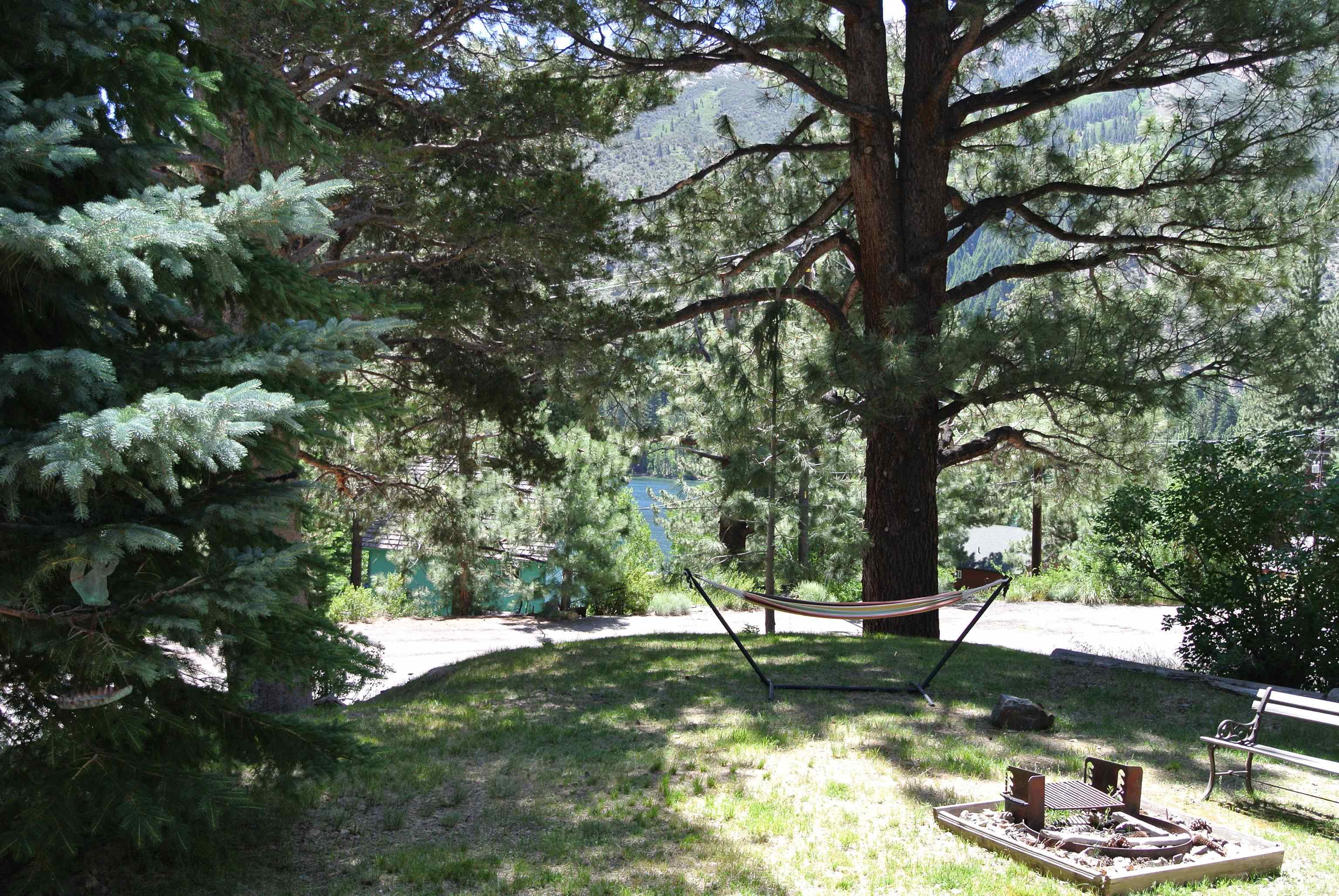 11702 Twin Lakes Road Bridgeport, CA 93517 - Photo 8 of 21 Lush, tree-lined property featuring a spacious lawn, mature evergreen trees, and a dedicated fire pit area