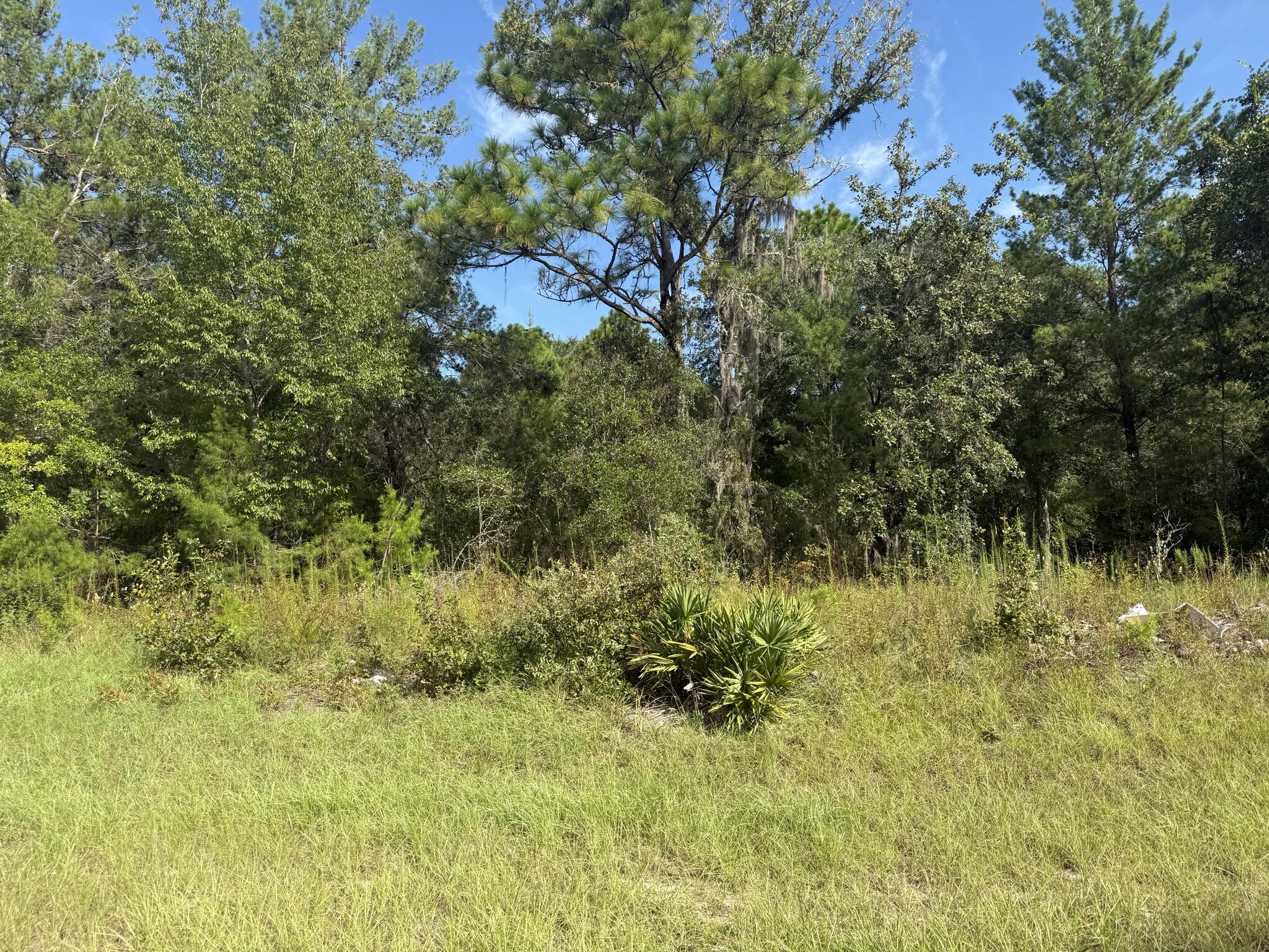 Tbd Southwest 79 Terrace Road Ocala, FL 34473 - Photo 2 of 4 a view of a yard
