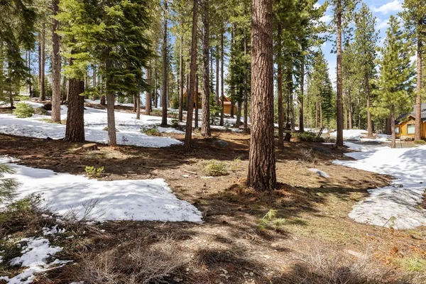 a view of a yard with trees