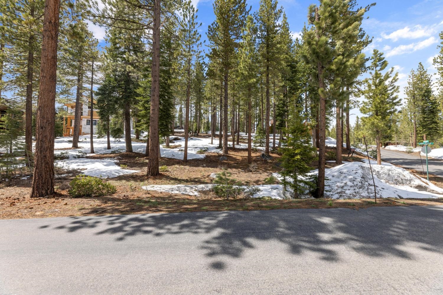 11916 Lamplighter Way Truckee, CA 96161 - Photo 11 of 20 a view of street with trees