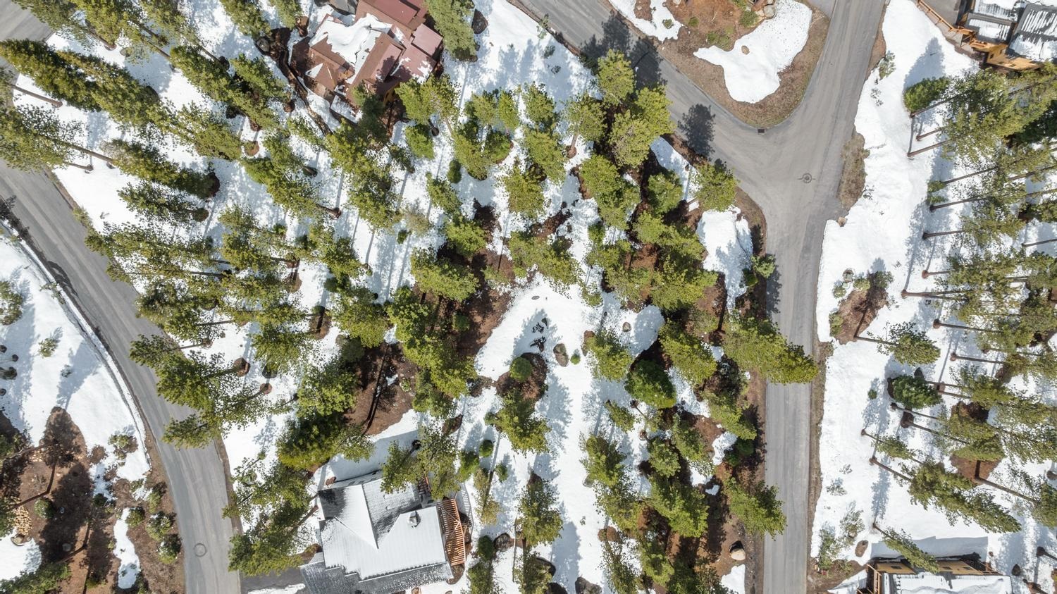 11916 Lamplighter Way Truckee, CA 96161 - Photo 13 of 20 a view of a tree