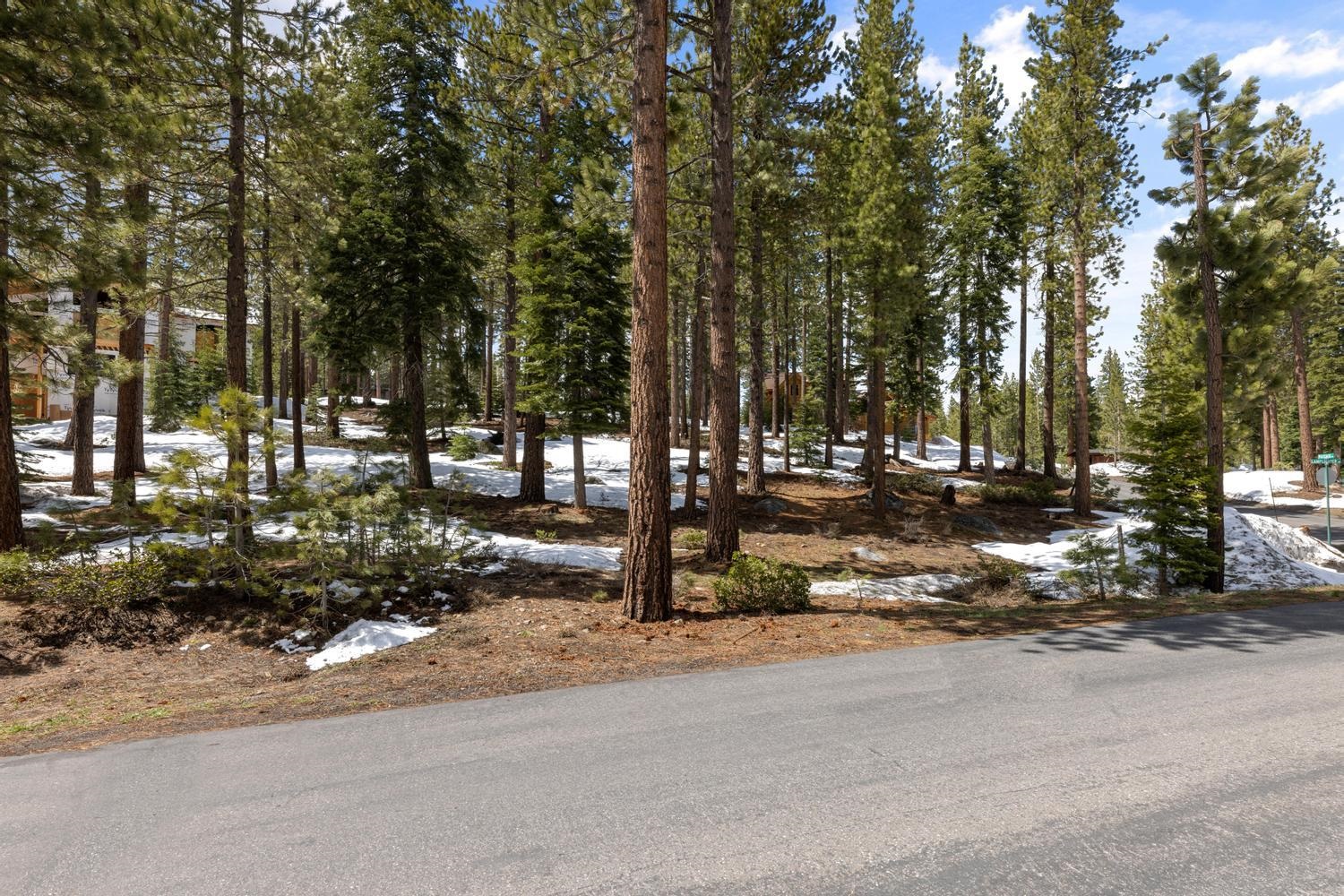 11916 Lamplighter Way Truckee, CA 96161 - Photo 20 of 20 a view of street along with trees