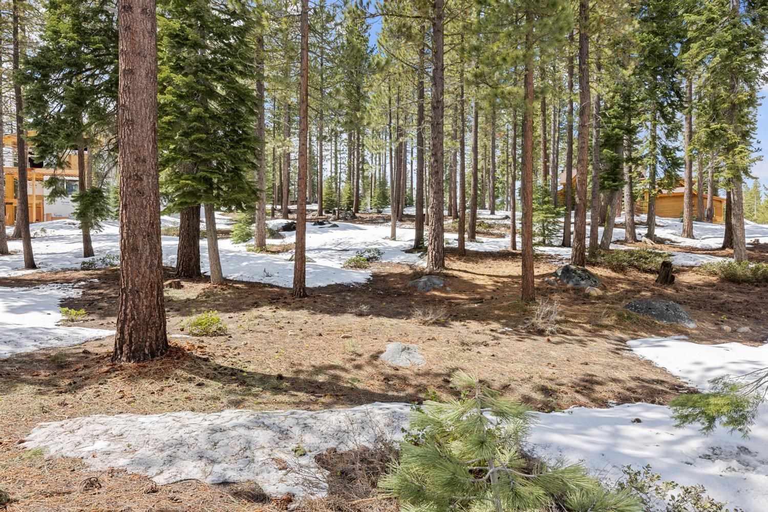 11916 Lamplighter Way Truckee, CA 96161 - Photo 3 of 20 a backyard of a house with lots of green space