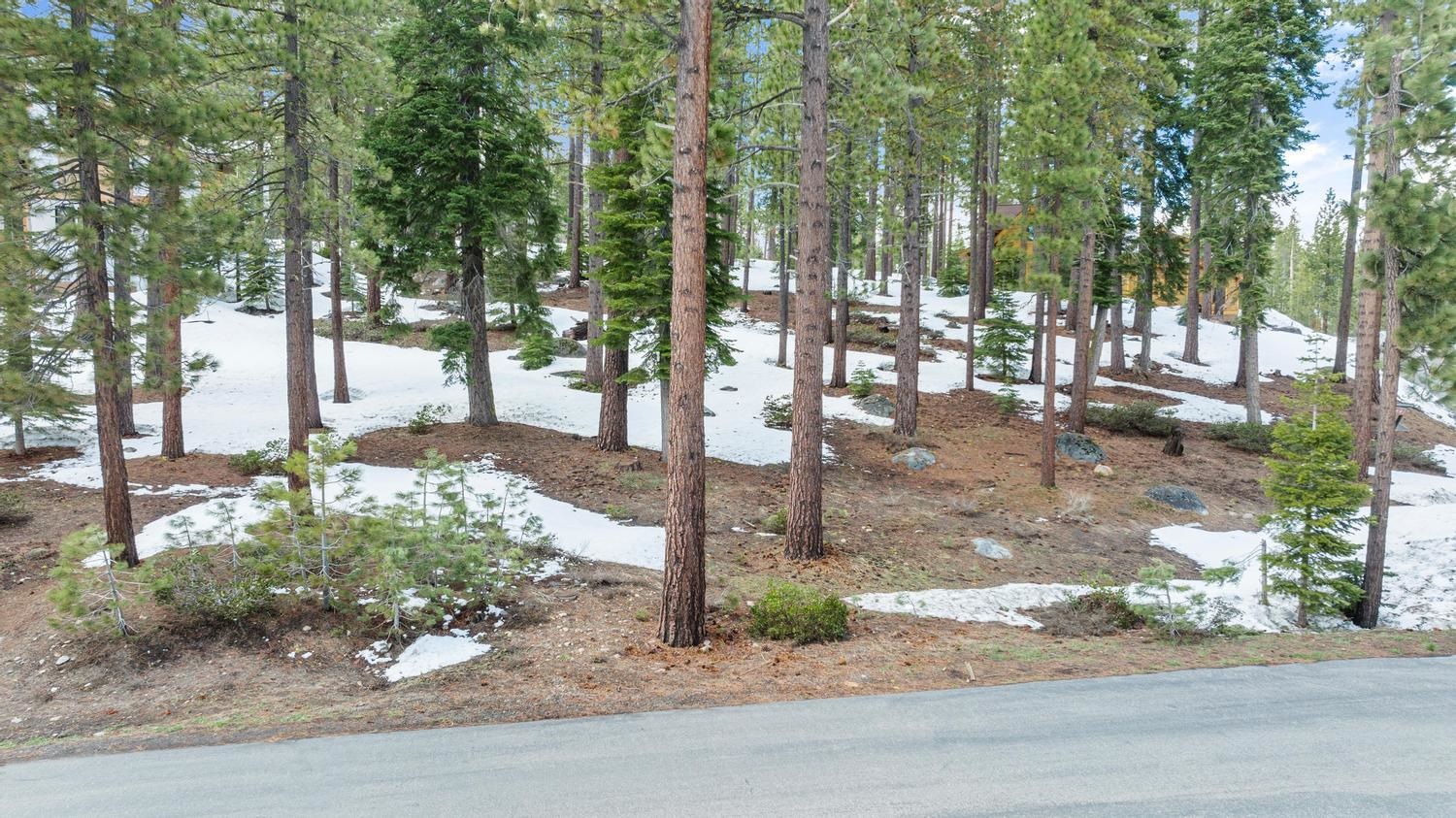 11916 Lamplighter Way Truckee, CA 96161 - Photo 5 of 20 a view of a pathway of a house